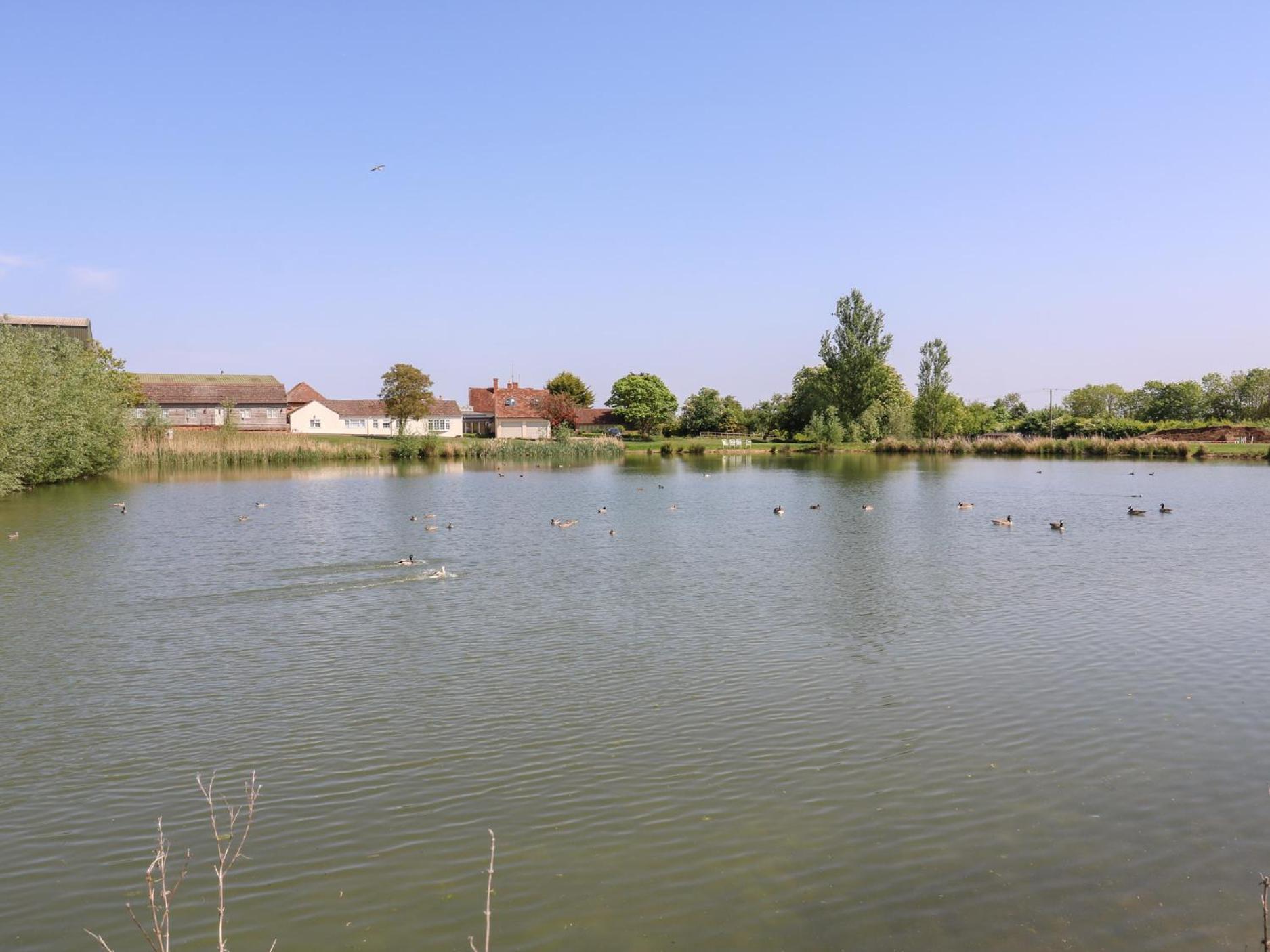Bb House Villa Bedford Dış mekan fotoğraf